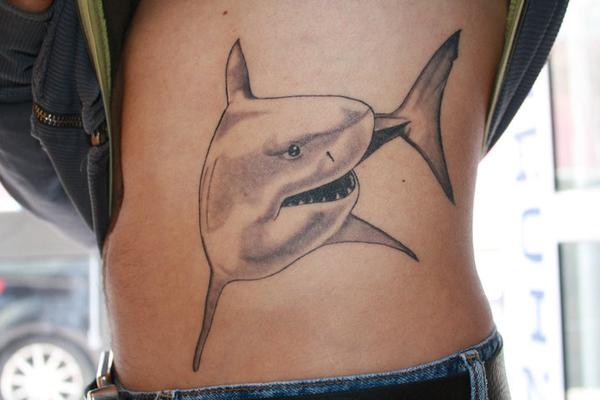 Requin blanc