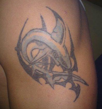 requin bleu et tribal