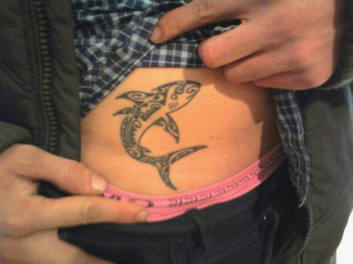 Photo de requin maori, requin, maori