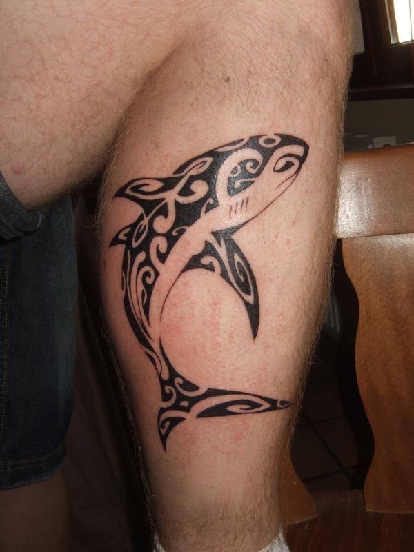 Requin maori