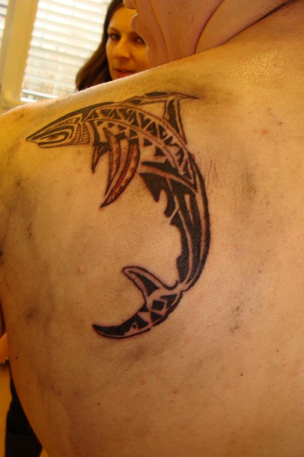 Photo de requin maori, requin, maori réalisé par StudioBeauté