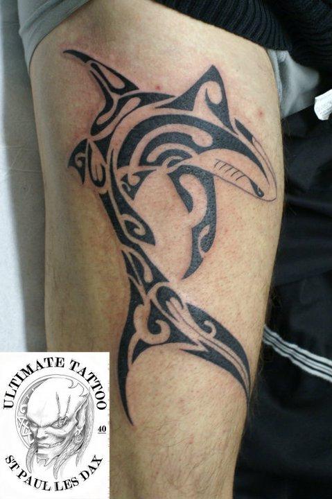 requin maori