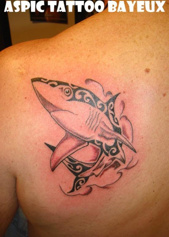 Photo de requin maori, requin, maori réalisé par Aspic  Tattoo