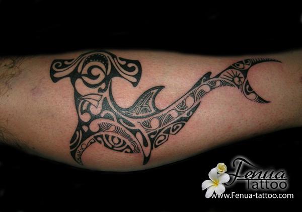 requin marteau