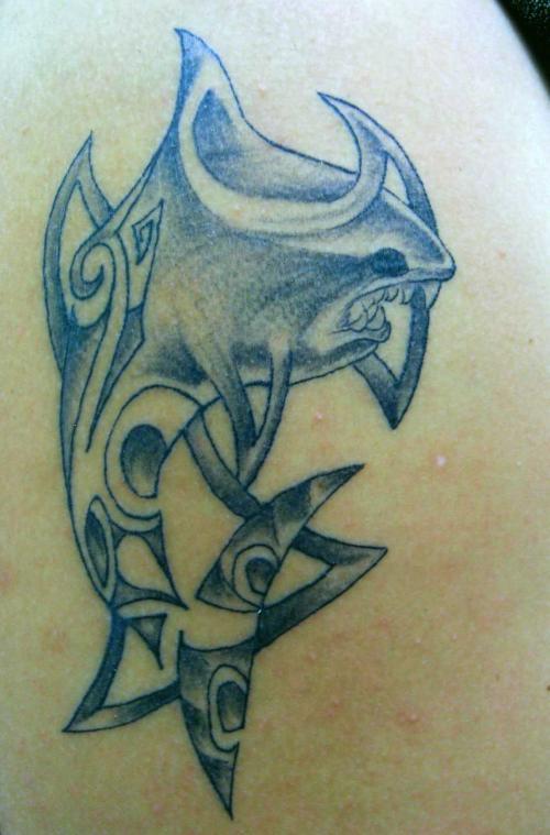 Photo de Requin tribal et polynésien, tribal, requin