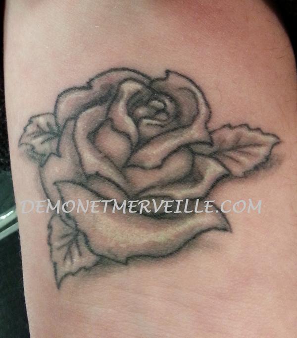 Rose