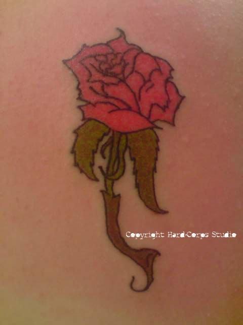 Photo de Rose, fleur, rose réalisé par Hard-Corps Studio
