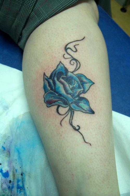 Photo de Rose bleue, rose, couleur