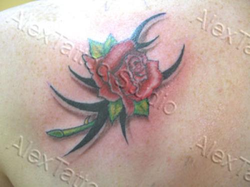 rose et tribal