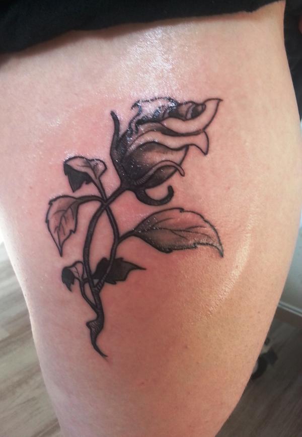 Photo de rose noire, rose, fleurs réalisé par Loloarttattoo