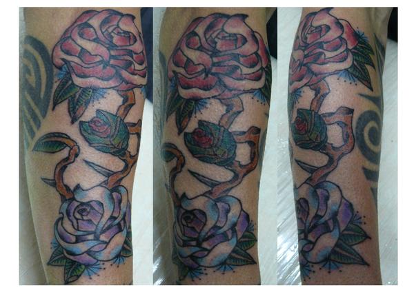 Roses