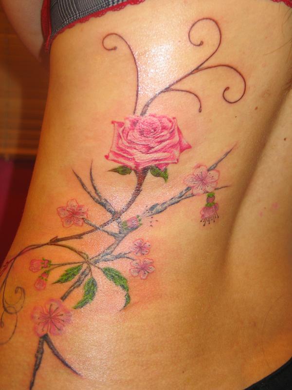 Rosier et fleurs de cerisier