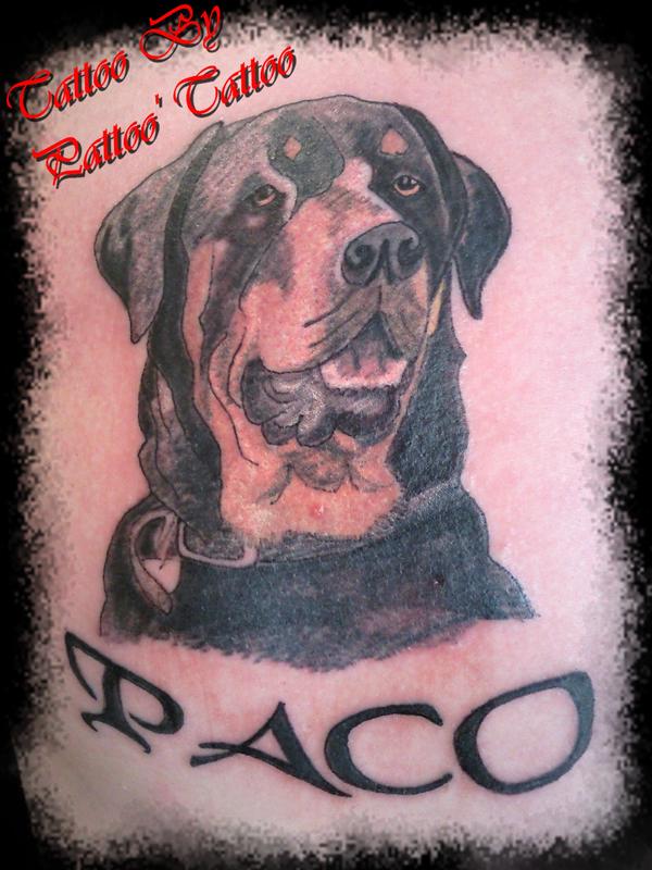Rottweiler