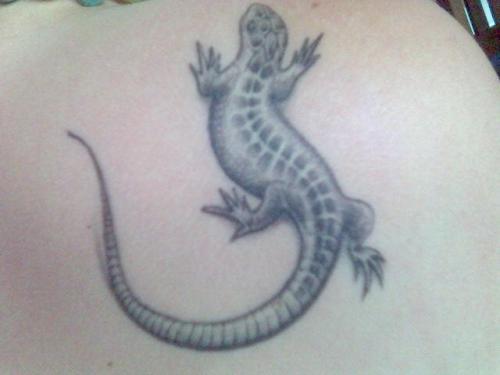 salamandre