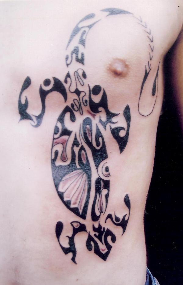 salamandre maori