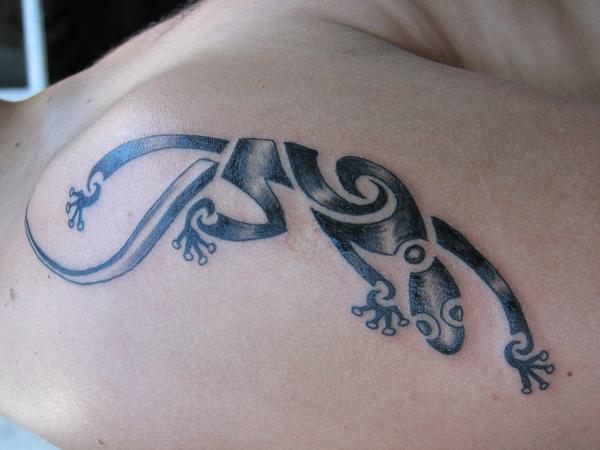 salamandre tribal