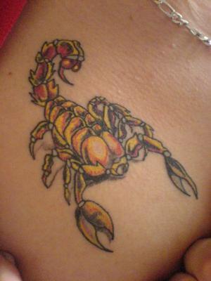 scorpion