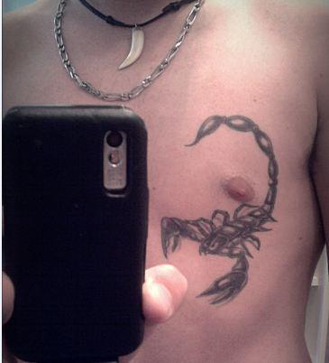 Photo de scorpion, scorpion, animaux