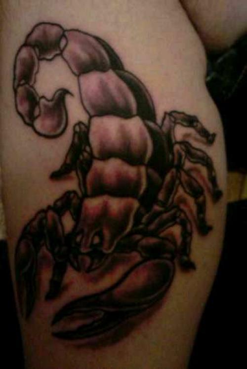 Scorpion
