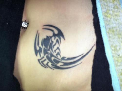 Photo de Scorpion, scorpion, animaux