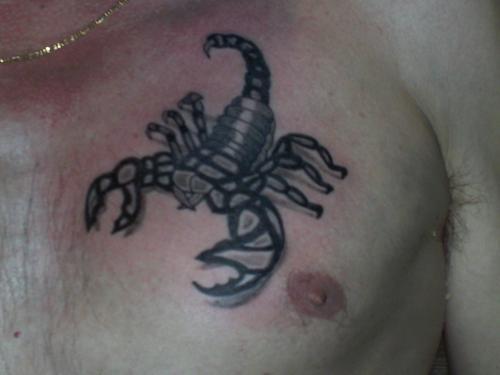 Photo de Scorpion, tattoo, animaux