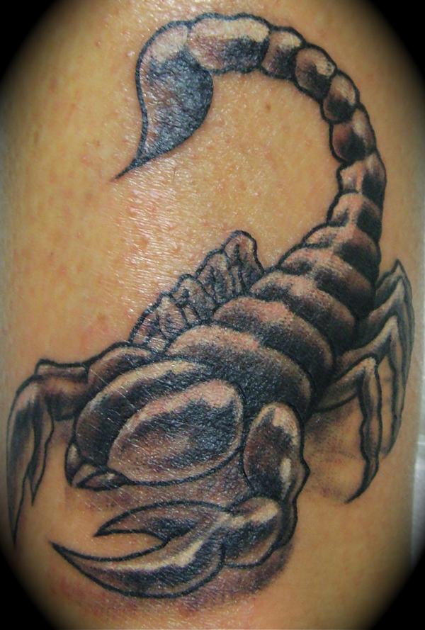 Photo de scorpion, insecte, scorpion réalisé par Art Corps Tattoo