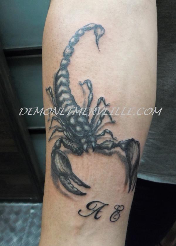 Photo de Scorpion, scorpion, animaux réalisé par Demon & Merveille