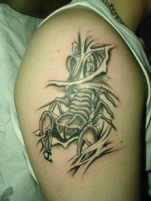 scorpion à travers la peau