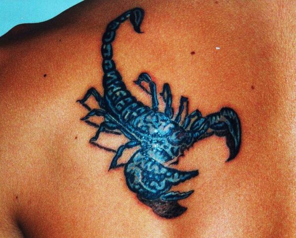 Photo de scorpion couleur, scorpion, animaux réalisé par Eastern Tattoo