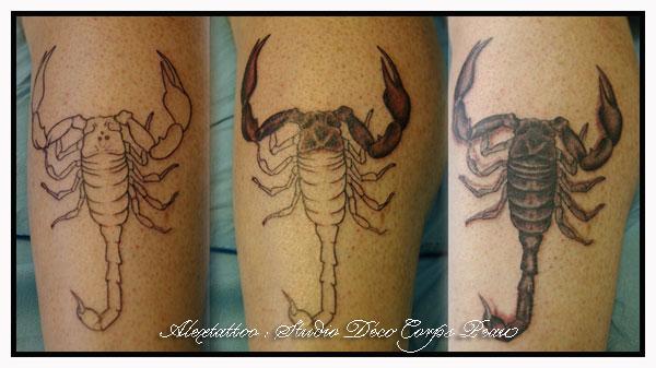 Scorpion en noir et gris