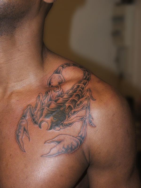Scorpion ombre