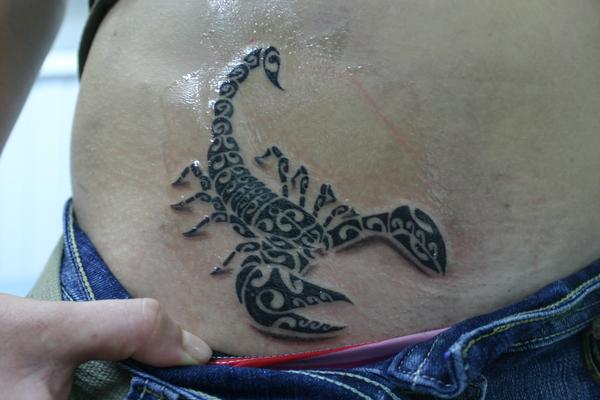 scorpion polynésien