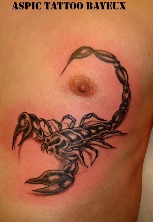 Photo de scorpion réel sur le pectoral, scorpion, animaux réalisé par Aspic  Tattoo