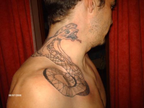 Photo de Serpent, tatouage, fontenilles