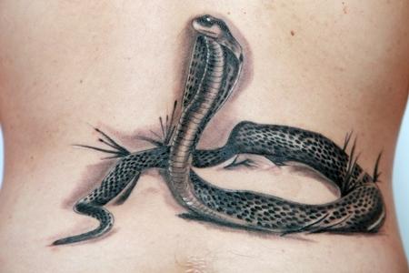 serpent cobra