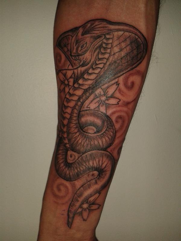 Serpent cobra