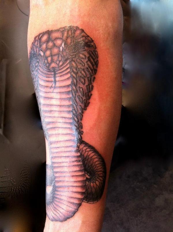 serpent cobra royal
