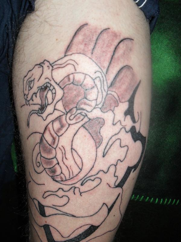 Photo de serpent en traits, serpent, animaux