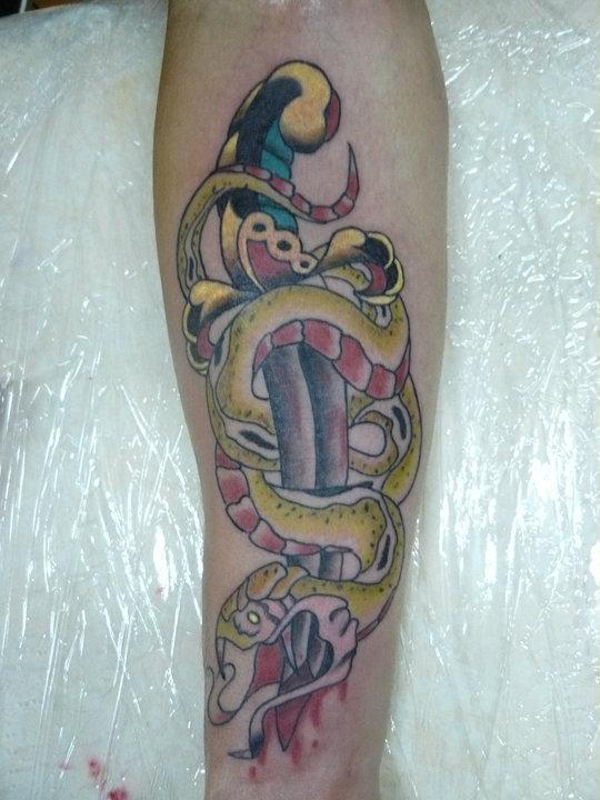 Photo de serpent et poignard old school, serpent, tatouage réalisé par Red Medicine Tattoo Shop