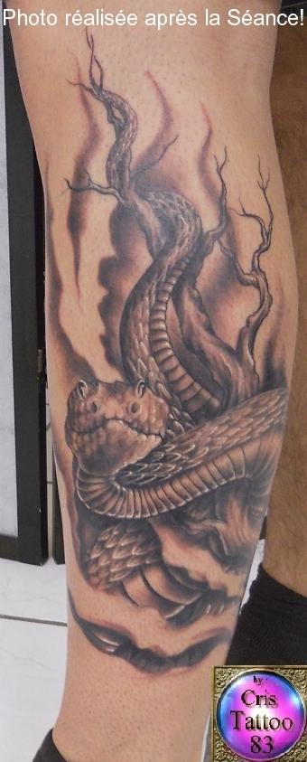 Serpent mollet