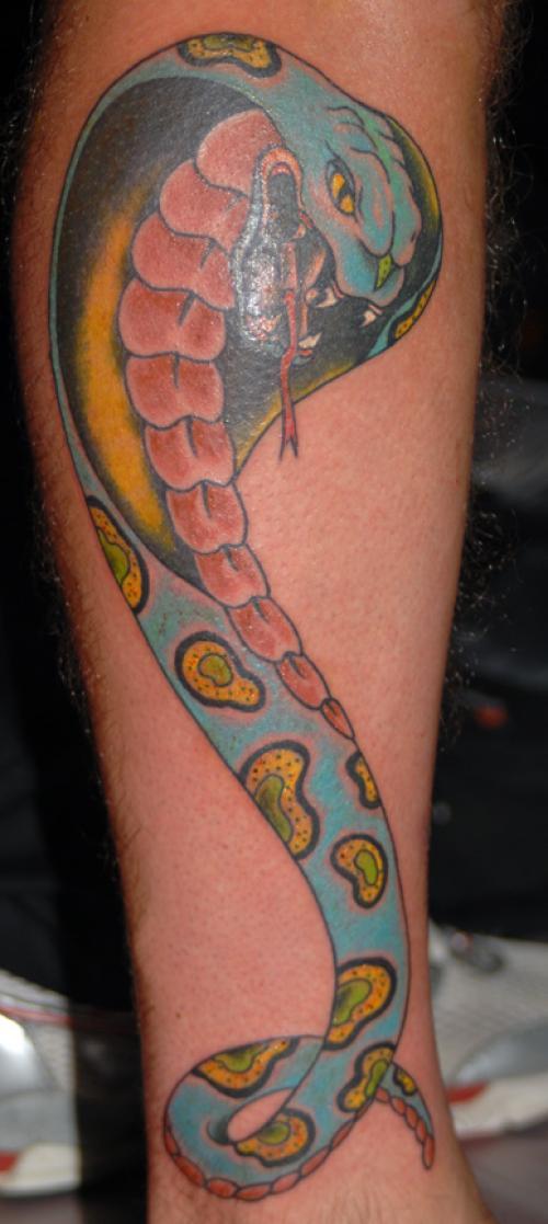 Snake