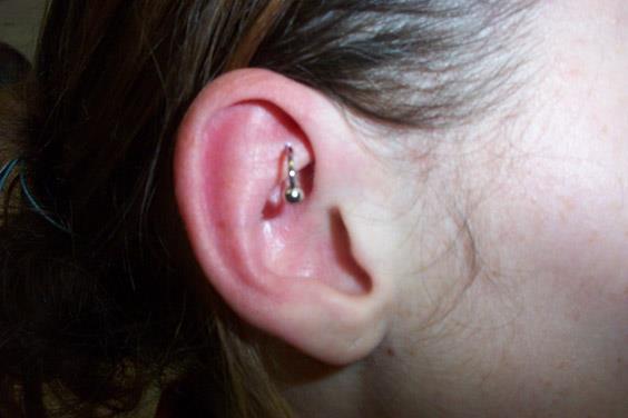 Photo de snug, piercing, cbr réalisé par Crypte Tattoo PIercing