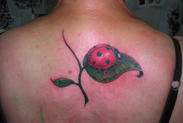 Photo de Tatouage coccinelle, animaux, tatouage réalisé par Tattoo Studio