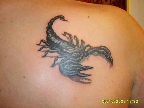 Tattoo scorpion