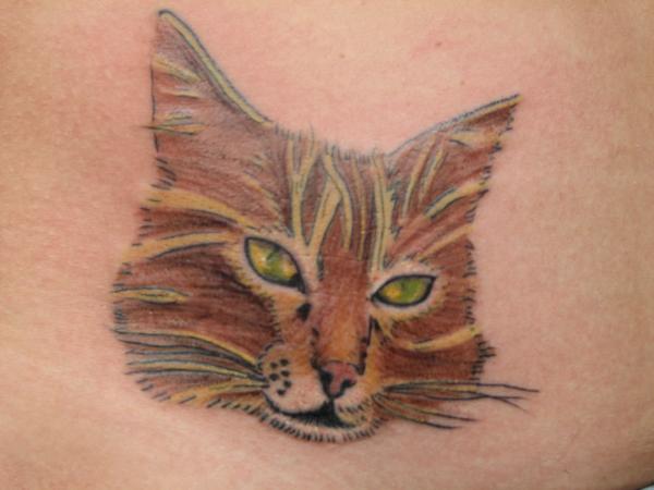 Photo de tête de chat, tête, chat réalisé par authentic tatoo