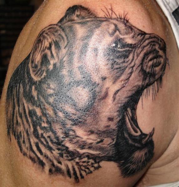 Tête de lionne