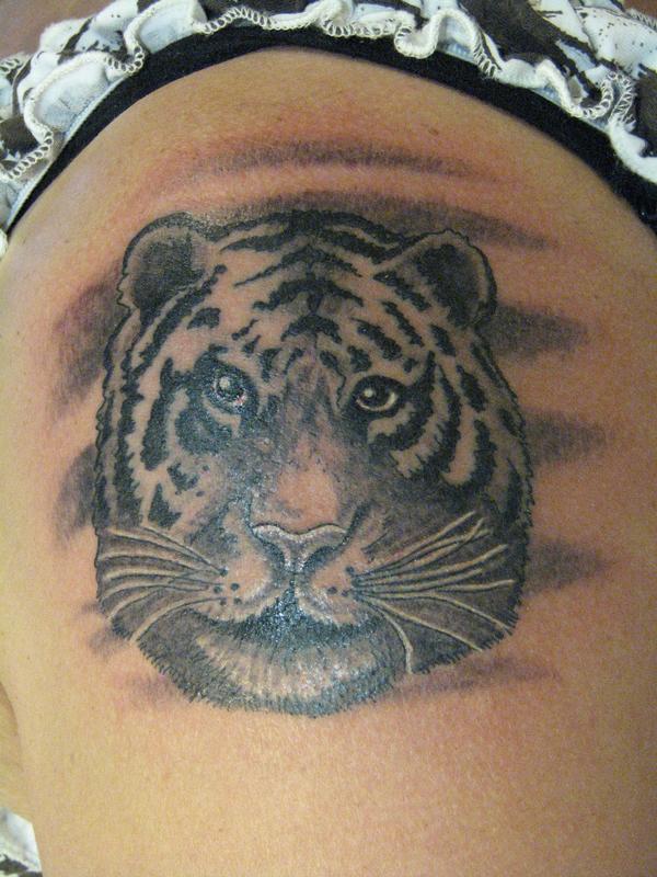 Photo de tete de tigre, félin, tigre réalisé par authentic tatoo