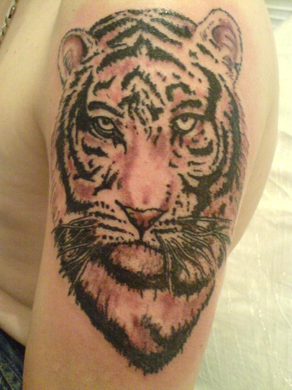 tete de tigre
