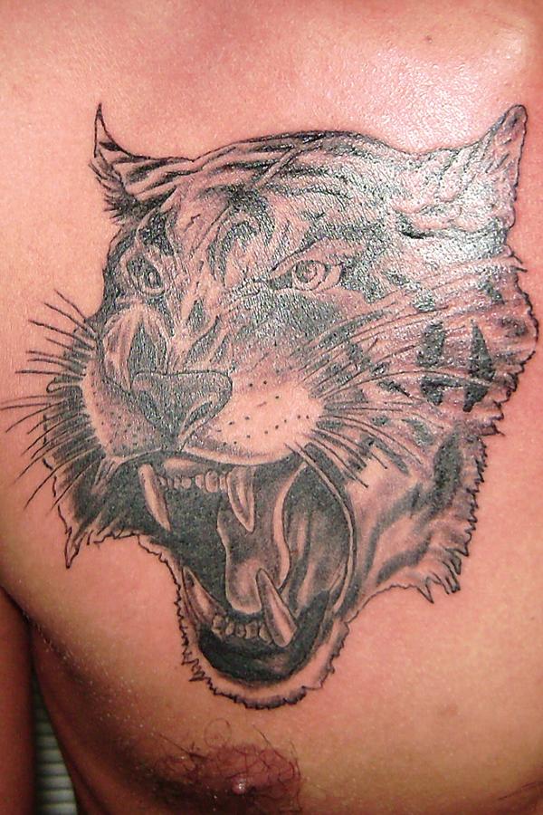Photo de tête de tigre, tigre, tête réalisé par Mystic Tattoo