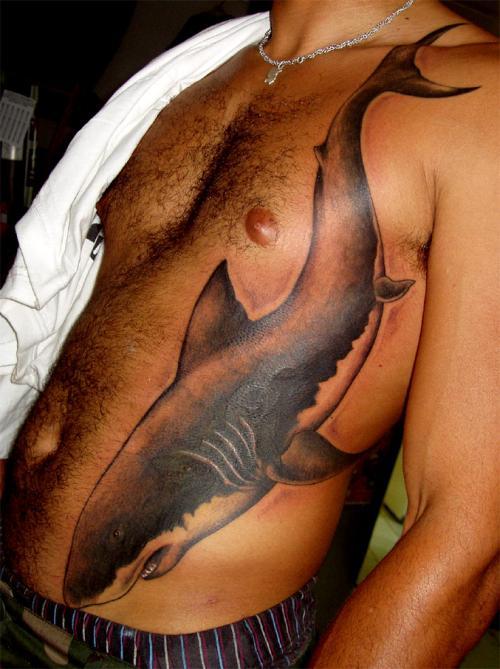 Photo de The squale, requin, animaux réalisé par Cat's Eyes Tattoo/Piercing